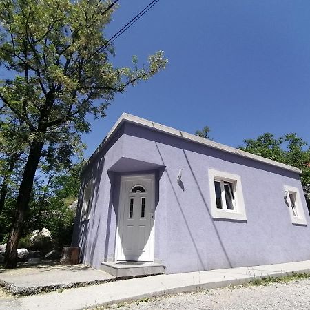 Purple Peace Cetinje Eksteriør bilde